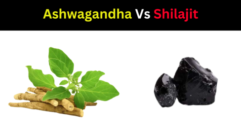 Ashwagandha vs Shilajit: A Comprehensive Comparison of Two Ayurvedic