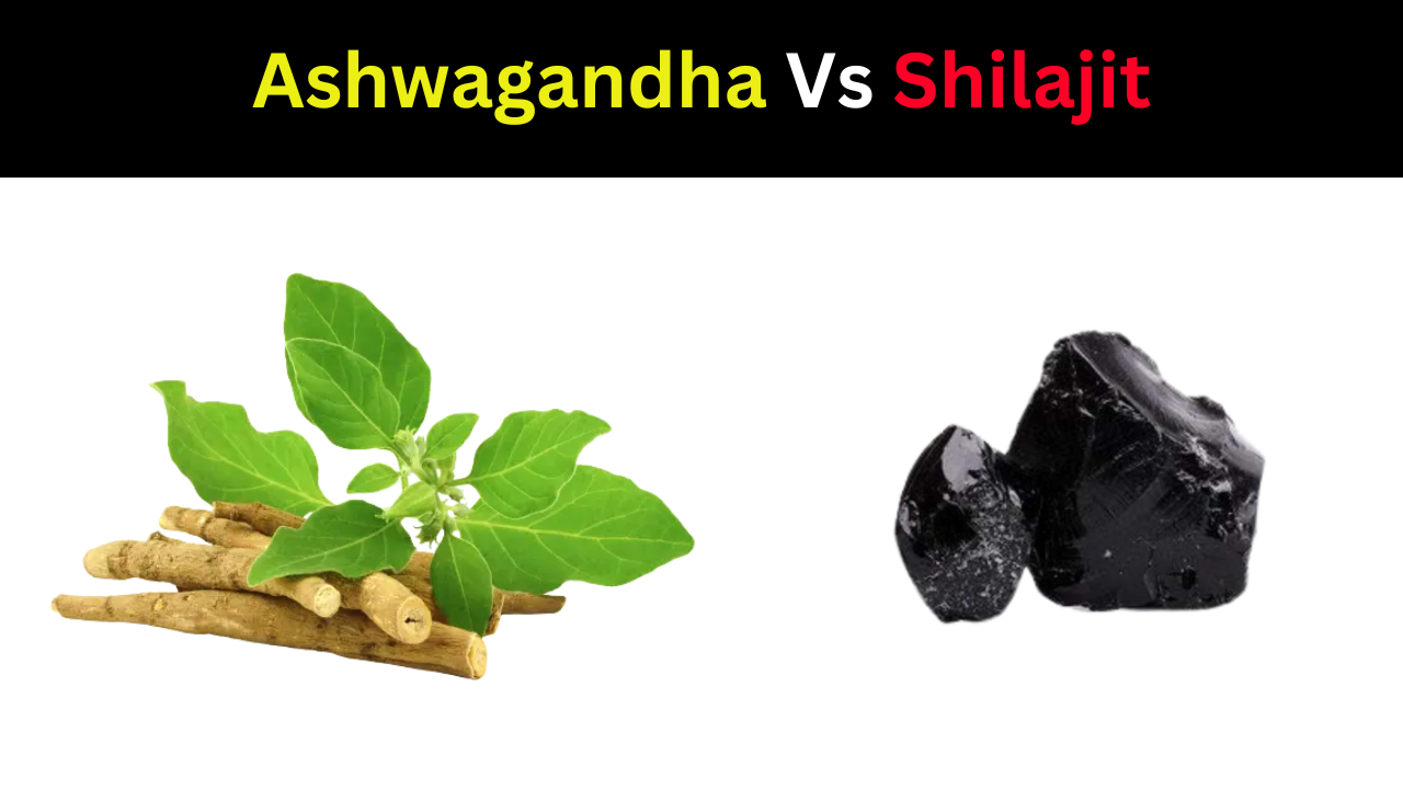 Ashwagandha vs Shilajit