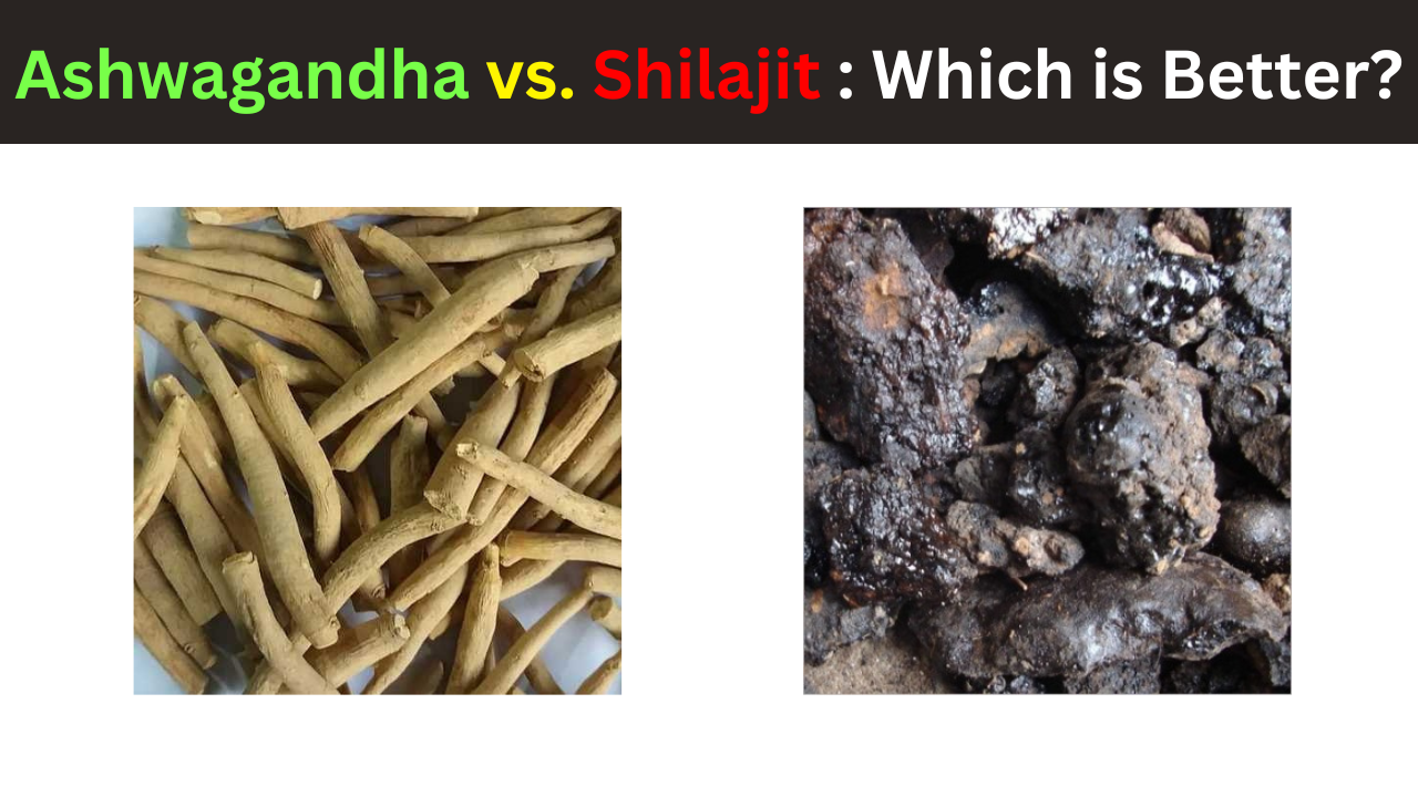 Ashwagandha vs. Shilajit: Which is Better?