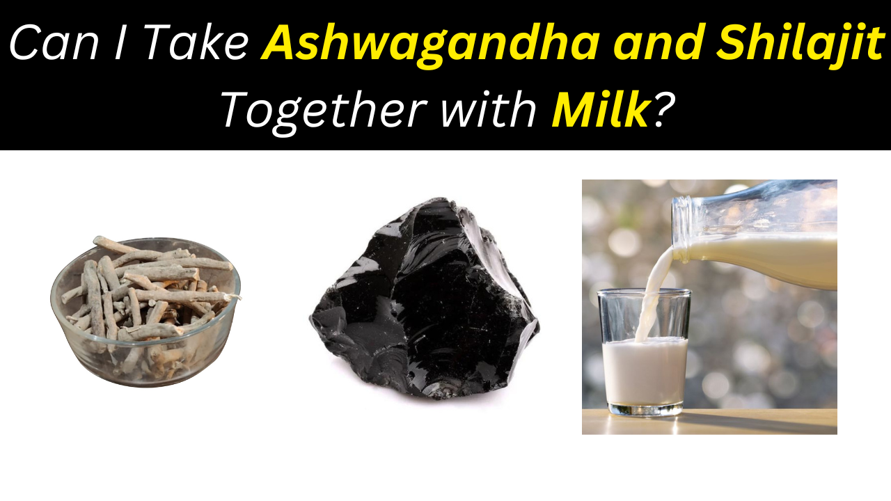 Can I Take Ashwagandha and Shilajit Together with Milk?