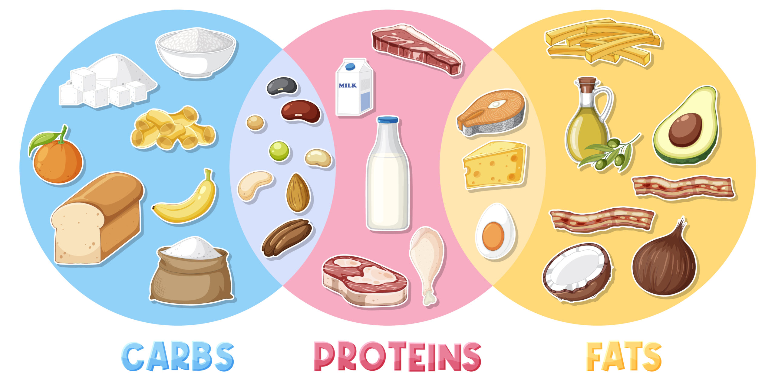 Macronutrient