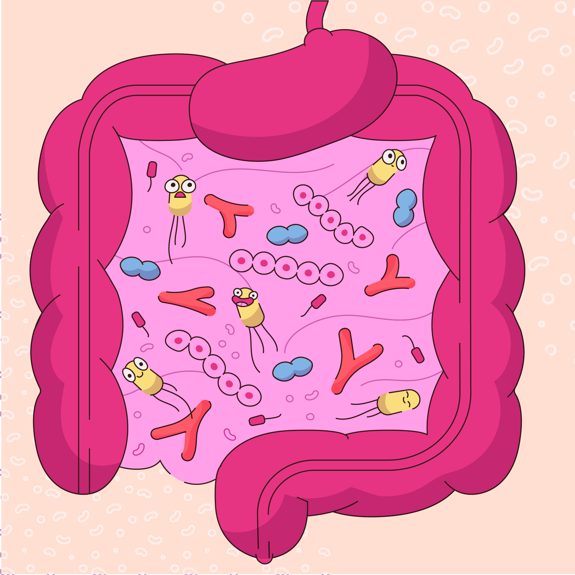 Gut Bacteria