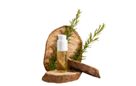 Hemlock Spruce Essential Oil
