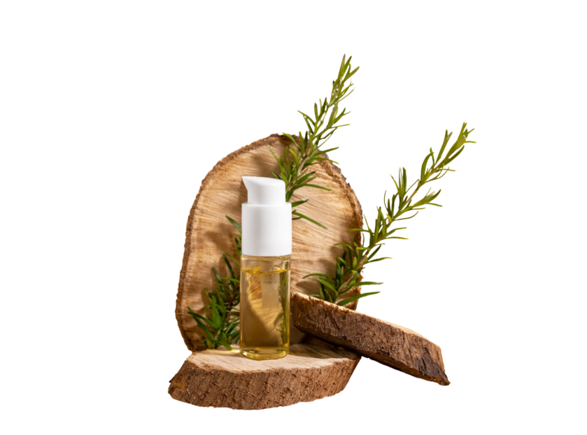 Hemlock Spruce Essential Oil