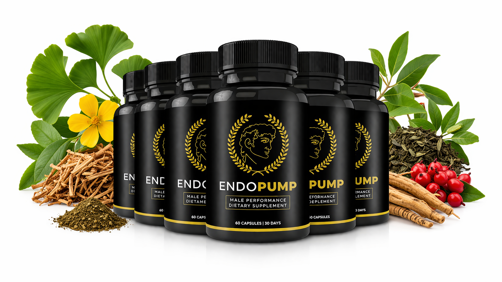 Endo Pump