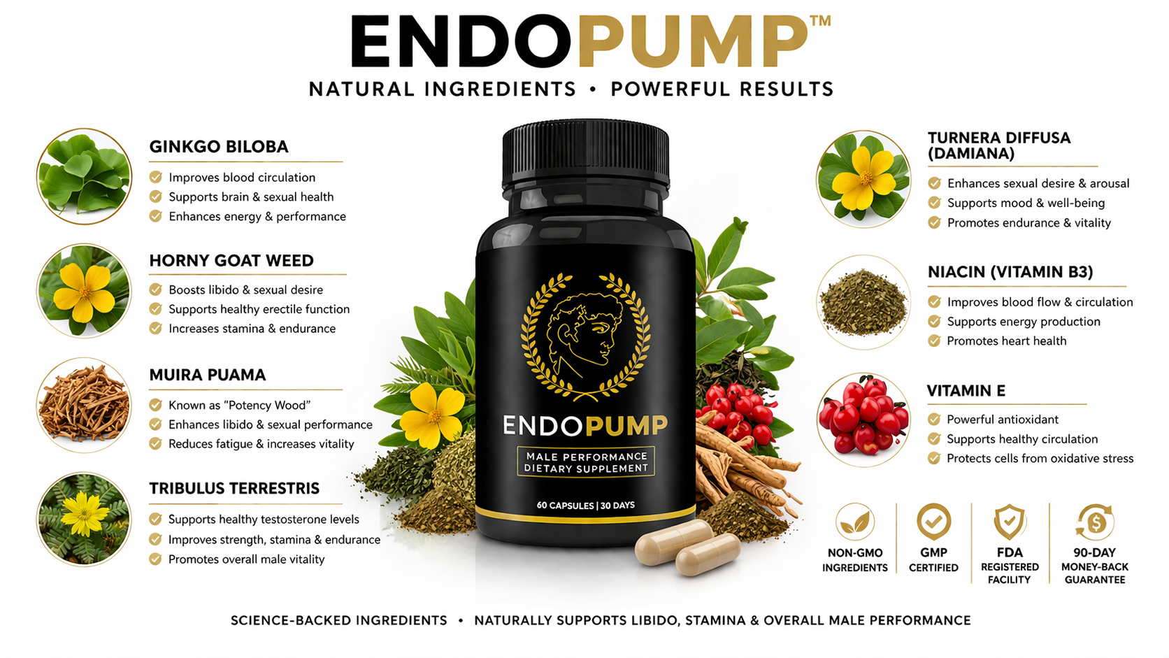 Endopump male performance supplement infographic
