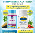 Top Probiotic for digestive health