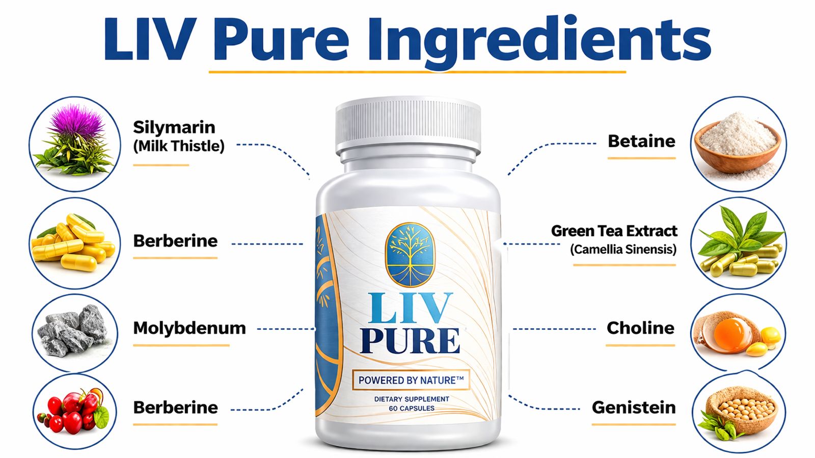 LIV Pure Ingredients