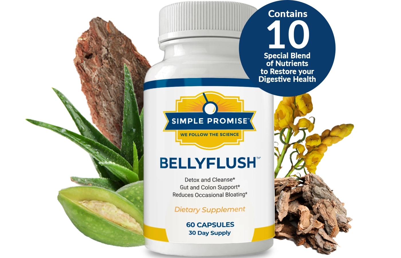 Belly Flush
